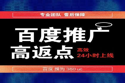 深度解析百度竞价包年服务：某行业领先企业的营销策略